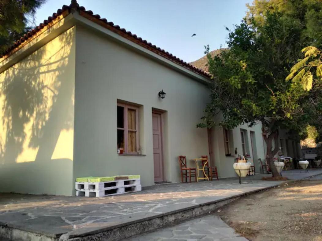 Arsinoe - Cosy Guesthouse- Méthana Kültér fotó